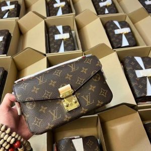 Louis Vuitton handbag and purse