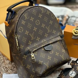 Louis Vuitton Fashion Backpack for Women