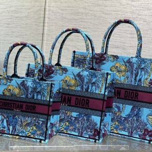 Dior handbag  book tote