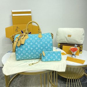 Louis Vuitton handbag